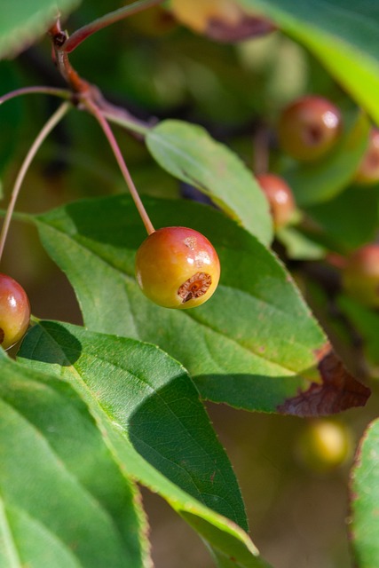 国际米兰豪取六连胜