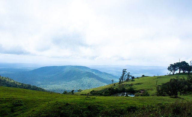 都体：米兰和国米依然关注索莱，但司法案件可能会有影响